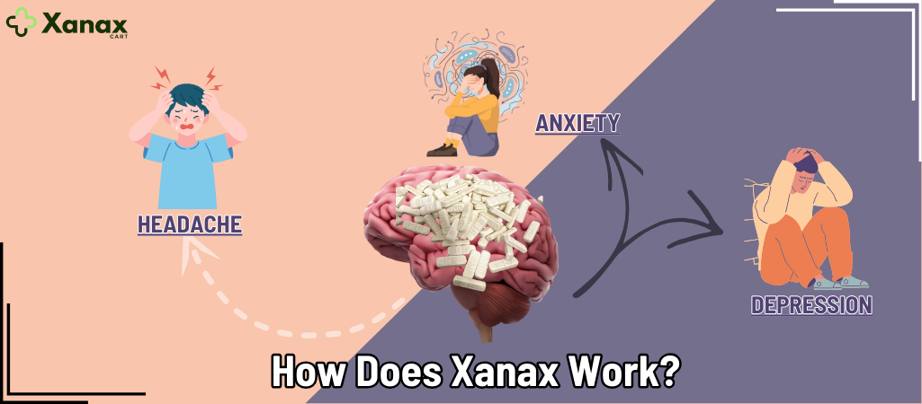 How Does Xanax Work